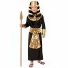 Tomfoolery Boys Egyptian Pharaoh Costume Boys Costumes
