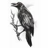 Carnival Products Tinsley Temp Tattoo - The Raven Tattoos