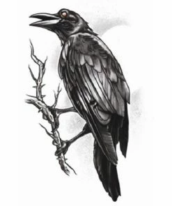 Carnival Products Tinsley Temp Tattoo - The Raven Tattoos