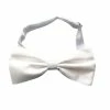 Carnival Products Satin Bow Tie - Assorted Colours