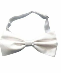Carnival Products Satin Bow Tie - Assorted Colours