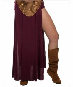 Rubie's Deerfield Princess Leia Secret Wishes Slave Costume - Adult Ladiesc