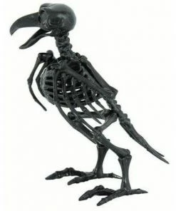 Tomfoolery Skeleton Raven - Small Props