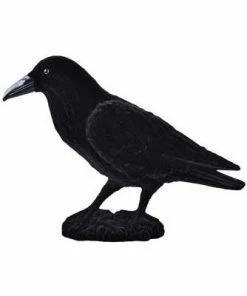 Tomfoolery Raven 18 X 30 Cm Props