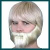 Carnival Products Beard Synthetic Fiber - Asst Colours