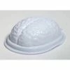 Forum Novelties Halloweenc Brain Mold 2 Pack