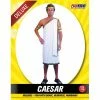 Allen Trading Caesar Toga Costume Mensc