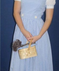 Kansas Girl - Hire Book Weekc