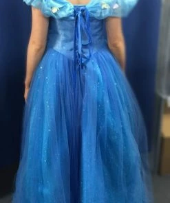Princess Ball Gown Costume - Hire 5 Princess Ball Gown Costume - Hire
