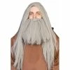 Interalia Group Grey Wizard Wig And Beard Set Facial Hair