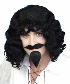 Carnival Products Facial Hair Musketeer Wig, Mo And Beard Set