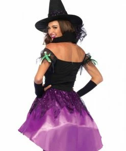 Tomfoolery Ladiesc Spiderweb Witch Costume-Leg Avenue