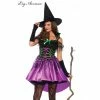 Tomfoolery Ladiesc Spiderweb Witch Costume-Leg Avenue