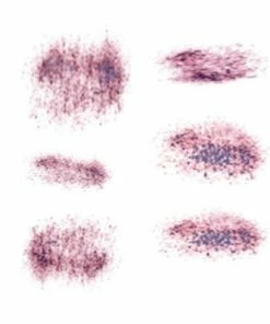 Carnival Products Tattoos Tinsley FX Temp Tattoo - Hickie